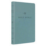 ESV Premium Church Bible, Imitation Leather, Paris Sky