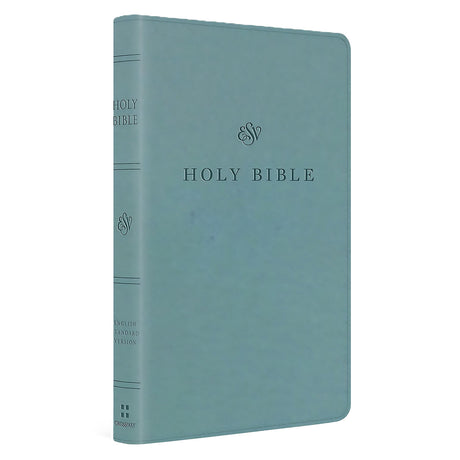 ESV Premium Church Bible, Imitation Leather, Paris Sky