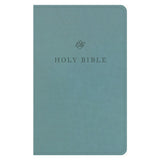 ESV Premium Church Bible, Imitation Leather, Paris Sky