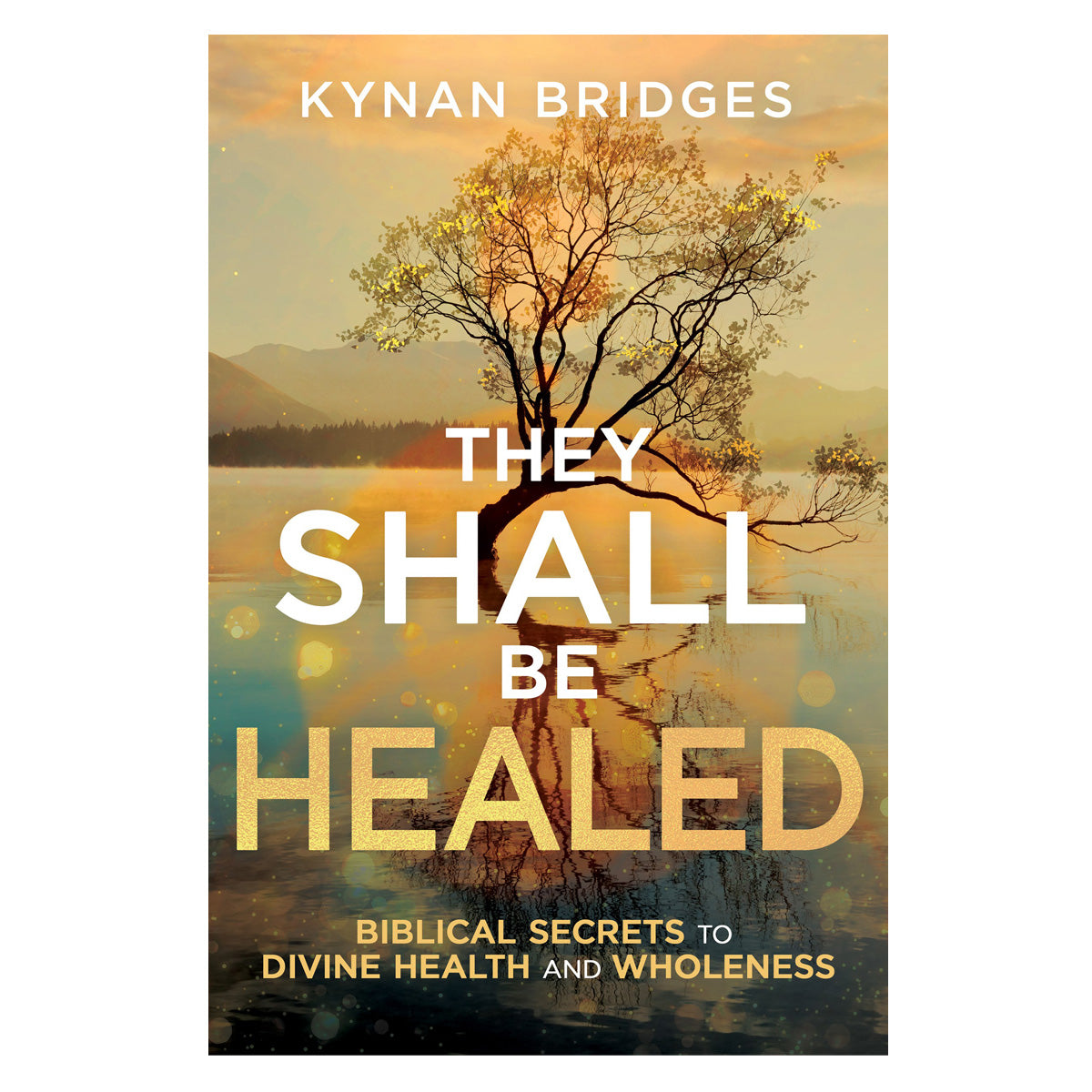 They Shall Be Healed: Biblical Secrets to Divine Health and Wholeness (Paperback)