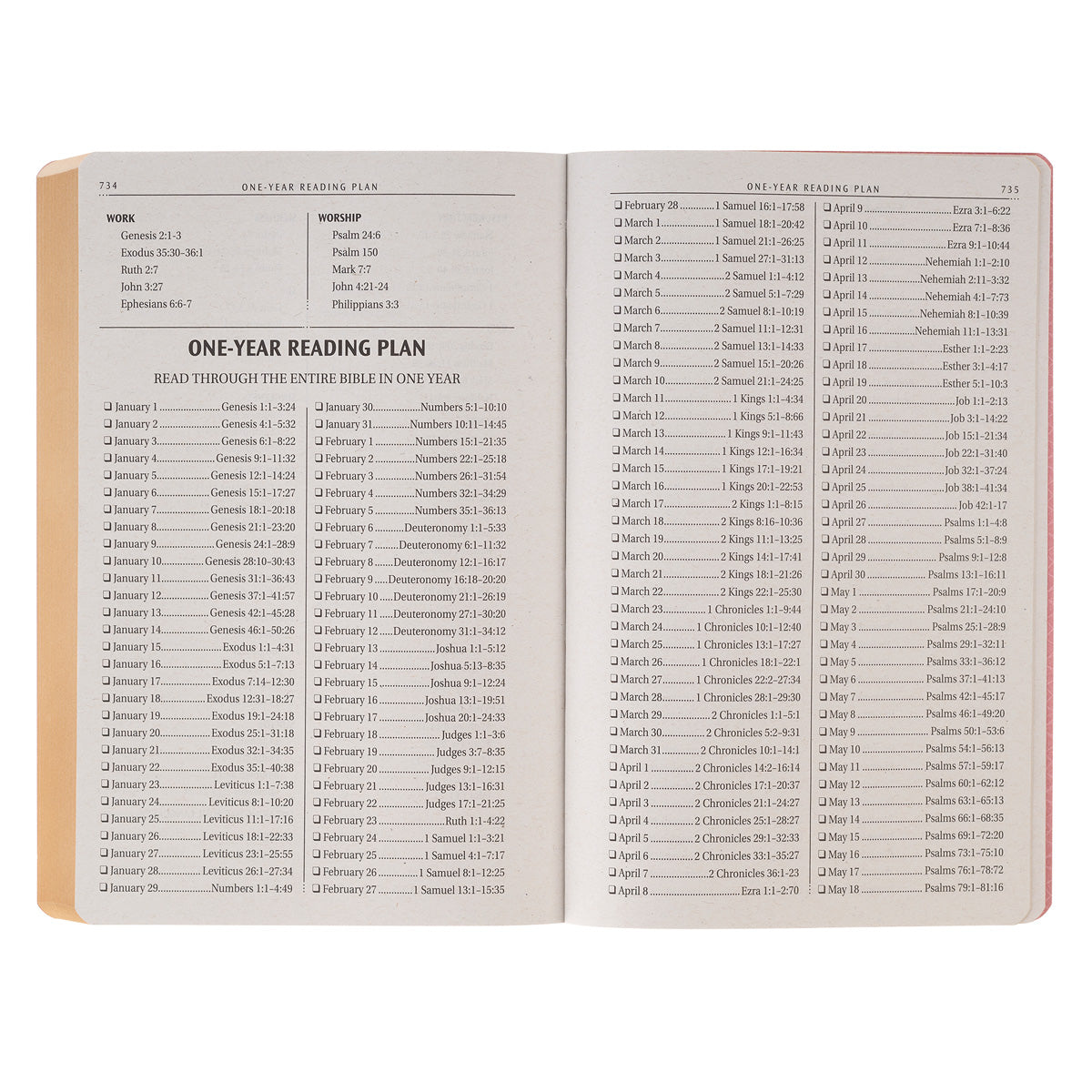 KJV Pink Faux Leather Flexcover Gift Edition Bible