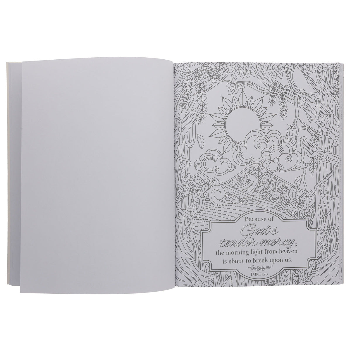 Promises from God's Word in Color Coloring Book (Paperback)