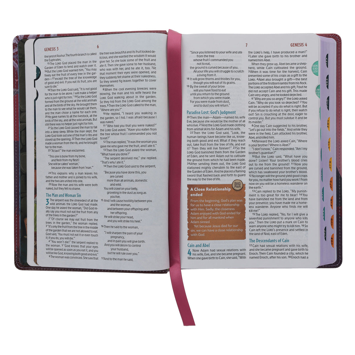 NLT Pink Faux Leather The Discovery Bible with Indexing Tabs
