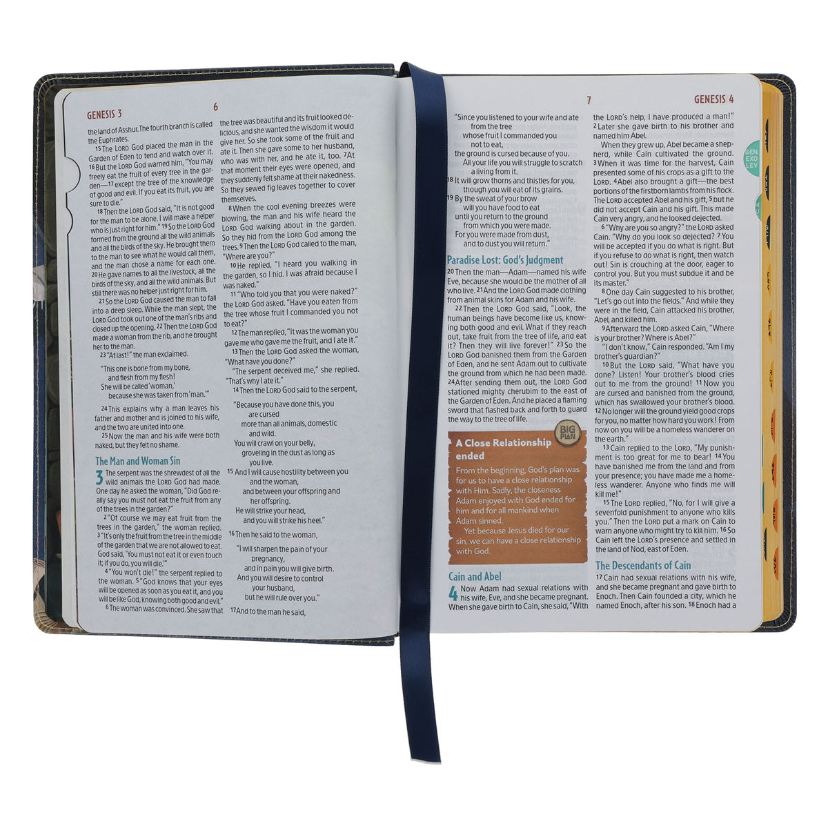 NLT Blue Faux Leather The Discovery Bible with Indexing Tabs